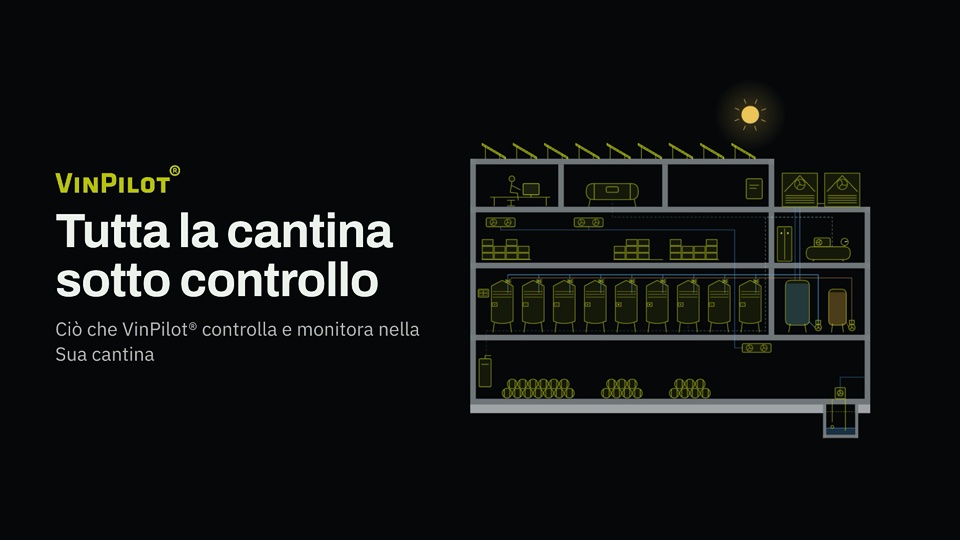 Immagine di copertina del video Tutta la cantina sotto controllo